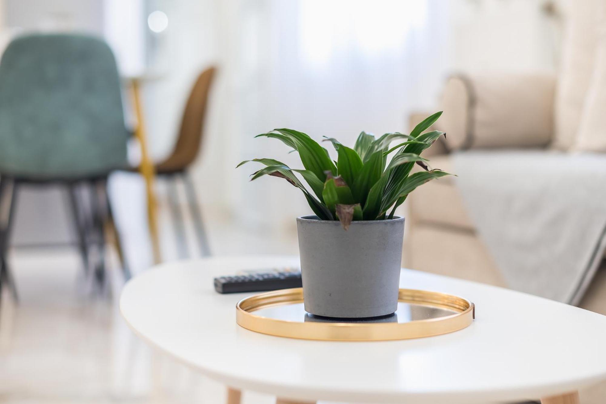 Modern Apartment 200M From Acropolis 100Mbps Netflix アテネ エクステリア 写真